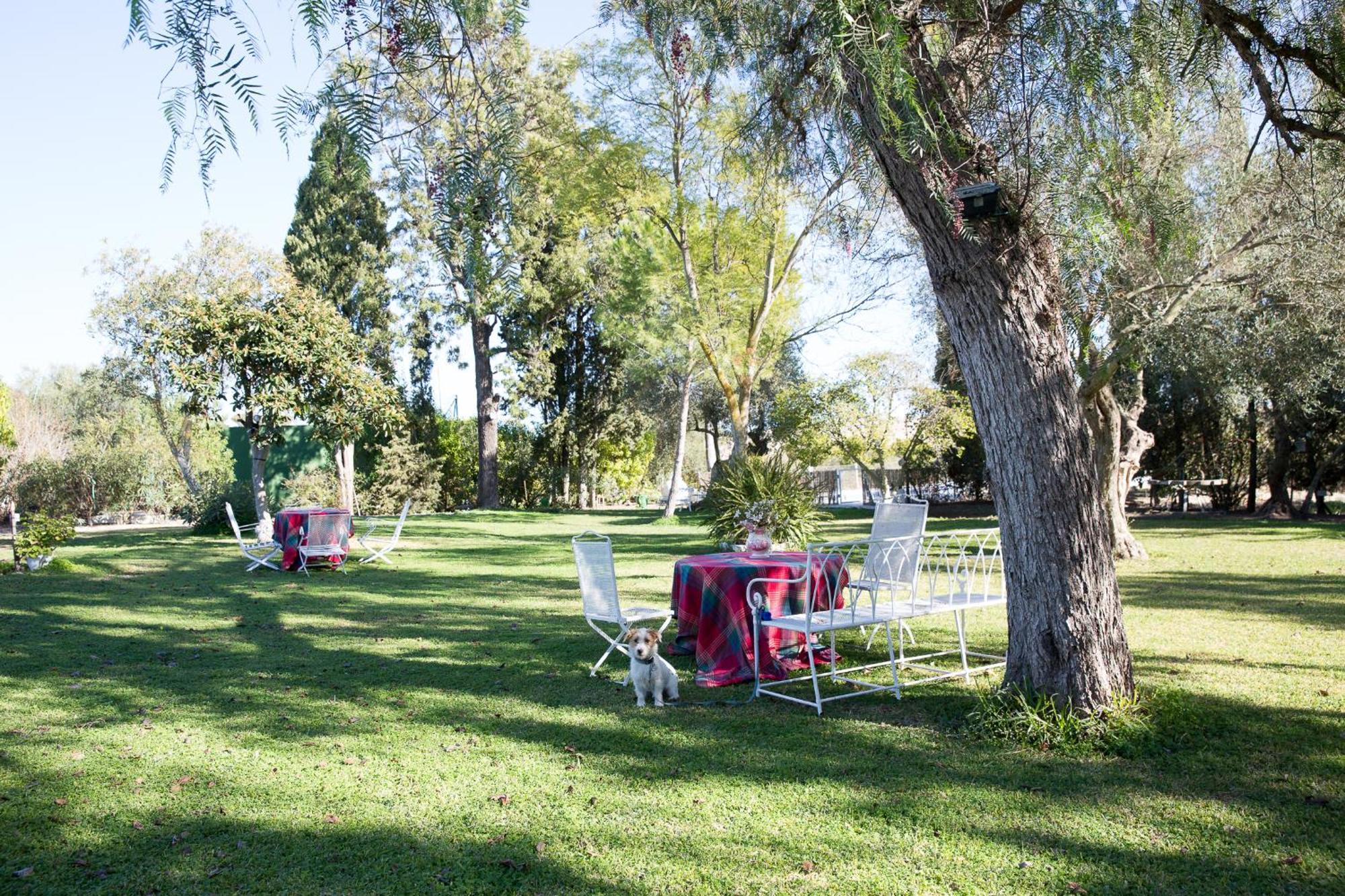 Вилла Cortijo Rural La Mariscala Херес-де-ла-Фронтера Экстерьер фото